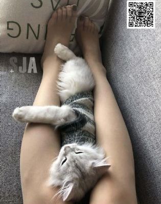 廉政狙击_BD韩语在线观看电视